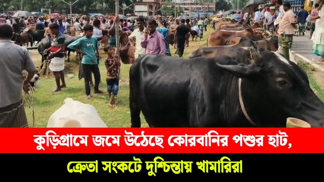 কুড়িগ্রামে জমে উঠেছে কোরবানির পশুর হাট, ক্রেতা সংকটে দুশ্চিন্তায় খামারিরা কুড়িগ্রামে জমে উঠেছে কোরবানির পশুর হাট, ক্রেতা সংকটে দুশ্চিন্তায় খামারিরা