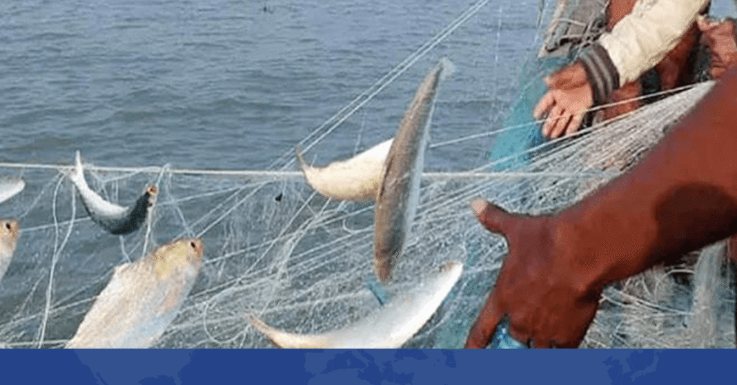 পদ্মা-মেঘনার ৭০ কিলোমিটার অভয়াশ্রম এলাকায় সব ধরনের মাছ আহরণে ২২ দিনের নিষেধাজ্ঞা শুরু হয়েছে। পদ্মা-মেঘনার ৭০ কিলোমিটার অভয়াশ্রম এলাকায় সব ধরনের মাছ আহরণে ২২ দিনের নিষেধাজ্ঞা শুরু হয়েছে।